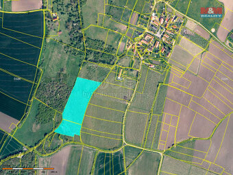 Prodej ovocného sadu, 25918 m², Dolní Nezly u Litoměřic - 9