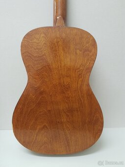 Akustická kytara - 9