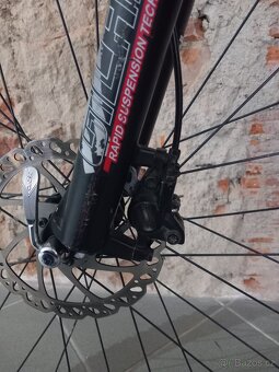 Kellys Quartz Disc 2009 - 9