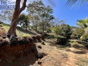 LOT 6 Bodden Bight Estate, Roatan - 9