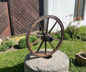 LOUKOŤOVÉ KOLO 59cm - 9