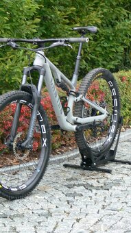Canyon neuron 5 - 9