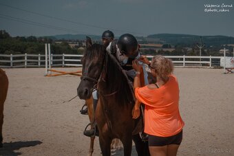 Klisna pony 147khv na rekreaci i sport - 9