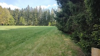 Prodej louky o celkové výměře 23 943 m2 nedaleko Frýdavy - 9