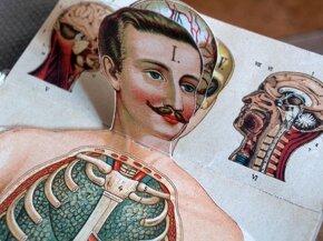 Bilzovo nové léčení přirozené první vydání 1897 - 9