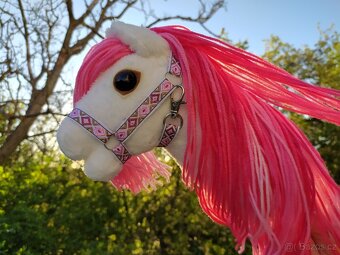 Hobby horse - 9