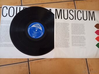 Prodám LP desky gramofonové desky - 9