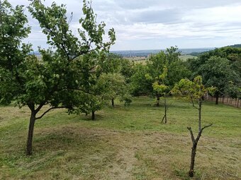 zahrada Žitenice - 9