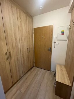 Pronájem, byt 1+kk, Zábřeh - 9