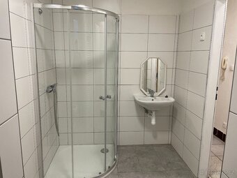 Pronájem bytu 2+1 Prachovice - 9