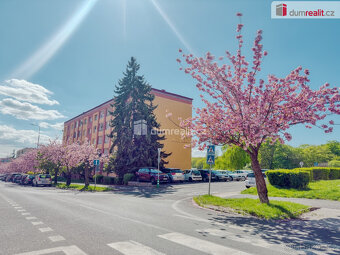 Prodej bytu 3+1+L, 69.8 m2, Zdeňka Fibicha, Most - 9