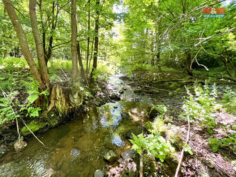 Prodej vodní plochy, 3255 m², Skalice u České Lípy - 9