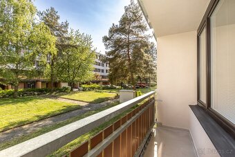 Prodej bytu 2+kk 66 m² Pod Zámečkem, Hradec Králové - 9