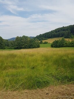 Prodej pozemku Čertův Mlýn 3425 m2 - 9