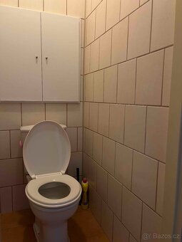 Podnájem bytu 3+1, 67 m², Orlová - 9