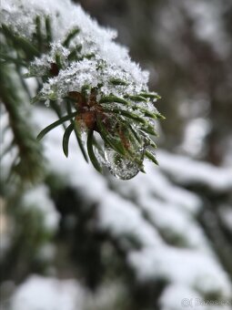 Samsung S25 12/128 - 9