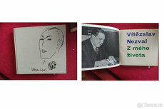 10x Česká literatura -Steklač, Vančura, Nezval, Šrámek, Fuks - 9