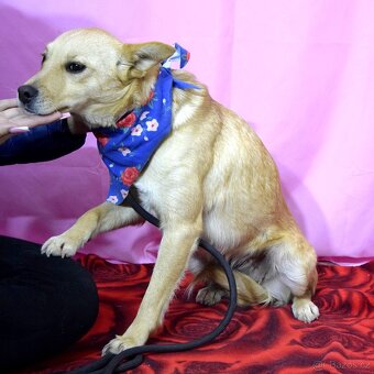 Odysea hledá domov - 9