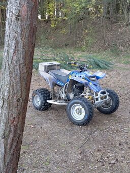 Yamaha Blaster 200 - 9
