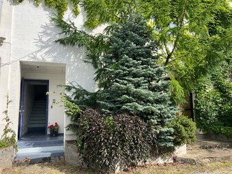 PRONÁJEM samostatného pokoje v centru Holic - 9