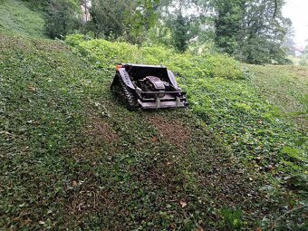 Sečení, mulčování trávy - 9