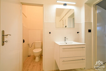 Pronájem bytu 3+kk, 77 m², Tupesy - 9