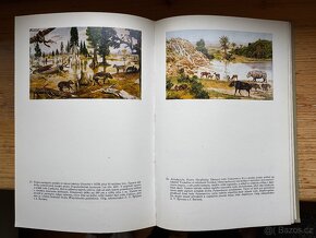 Paleontologie obratlovců. V. Špinar, Zdeněk Burian - 9