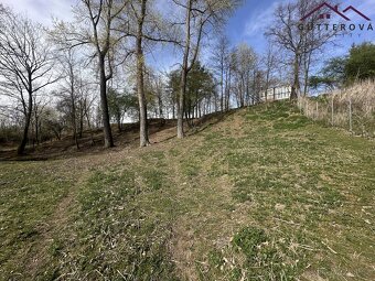 Prodej pozemků se dvěma rybníky, 15 233 m2 - Hradec u Stoda - 9