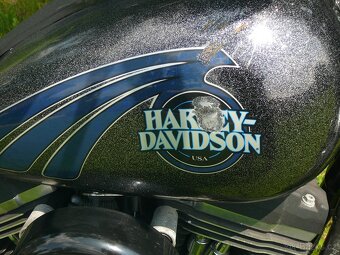 Harley-Davidson FXDB Street Bob 103cui 2014 - 9