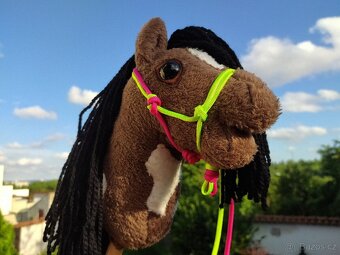 Hobby horse - 9