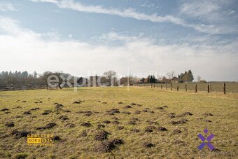 Prodej pozemků 5615 m2 - Ujkovice, ev.č. 02112 - 9