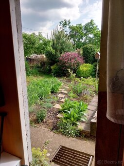 Pronájem zahrady v zahrádkářské kolonii - 9