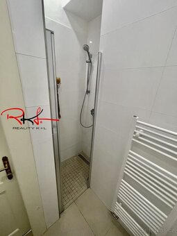 Pronájem, byt 3+kk se sklepem, Vinohrady, Praha - 9