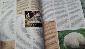 Kniha Houby - česká encyklopedie - vydání první - 9