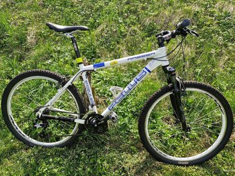 Horské kolo PELLS RAZZER 26" - 9