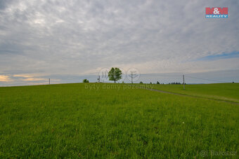 Prodej louky, 15730 m², Rajnochovice - 9