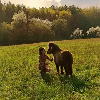 Poloviční pronájem pony kobylek - 9