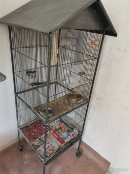 Dvě mladé korely s velkou klecí - 9