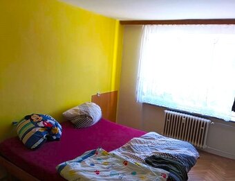 Pronájem bytu 2+1 54 m² Žďár nad Sázavou - 9