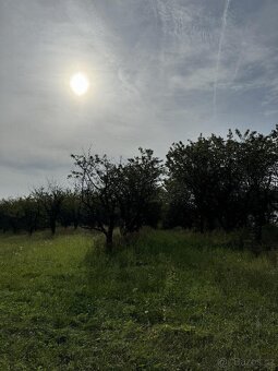 Prodám lesní pozemky v k. ú. Loučky u Turnova - 9