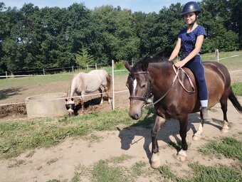 Pony WPBR - 9