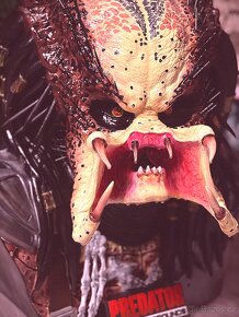 Predator Jungle hunter busta 1/1 no Sideshow - 9