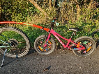 Specialized RIPROCK 12 + kolečka + Trail Gator - 9