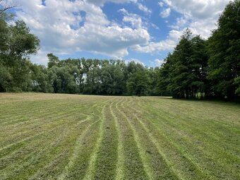 Pastevní ustájení 🌿🐴 - 9