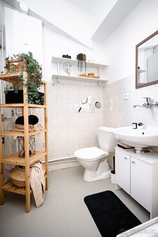 Byt Vysoké Mýto s garáží a zahradou - 9