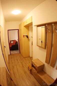 Prodej bytu 2+1,55 m²,Plzeň–Slovany,po rekonstrukci,bez RK - 9