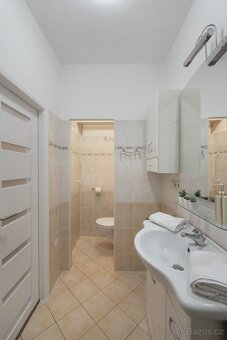 Slunný byt 1+KK / 2+kk 51 m² U Lomů, Plzeň - 9