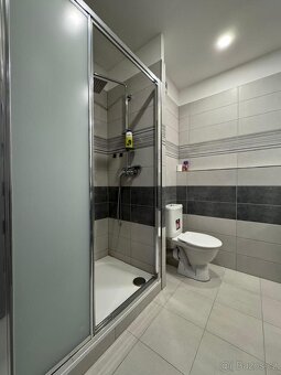 Prodej bytu po celkové rekonstrukci 1+1 v Chrudini na Rozhle - 9