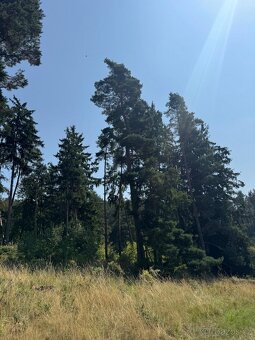 Prodej lesních pozemků v k.ú. Volenice - 9