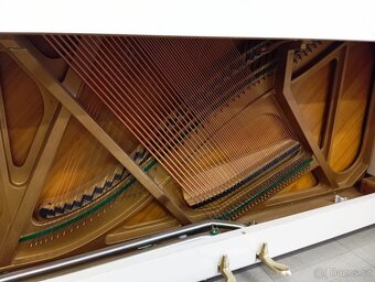 Aspheim (Hyundai)/lesk/-Dovoz i na Štědrý den 24.12. - 9